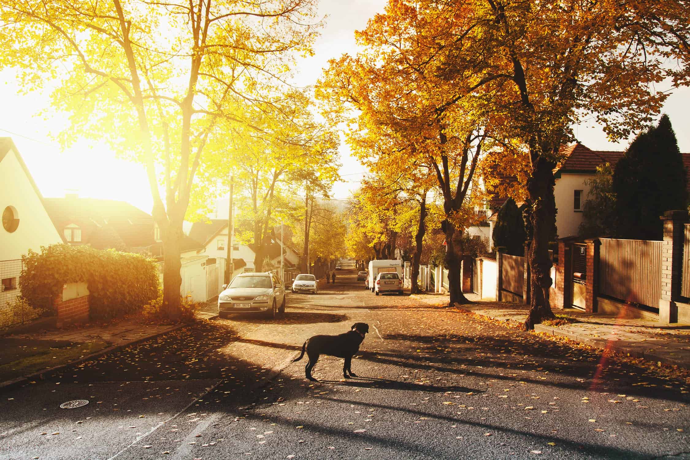 Ontario, Mississauga, weather, forecast, Environment Canada, sunny, skies, fog, morning, warm