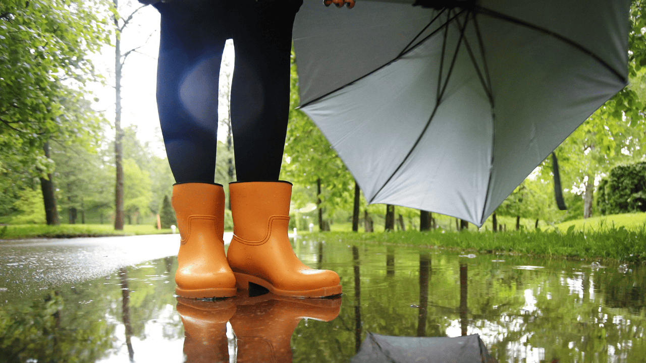 Nov. 6 weather: Early morning showers and high winds in southern Ontario