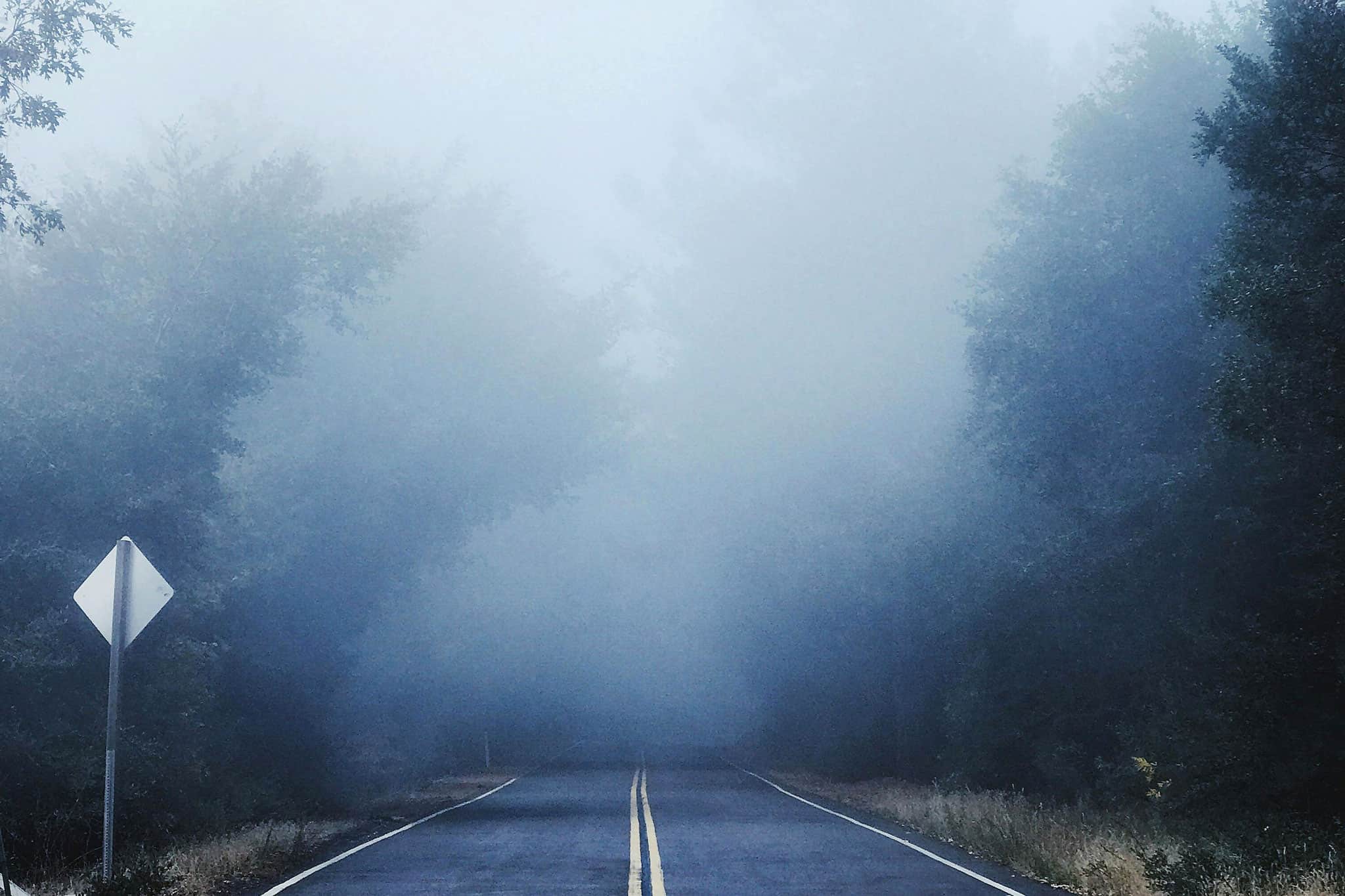 fog advisory ontario