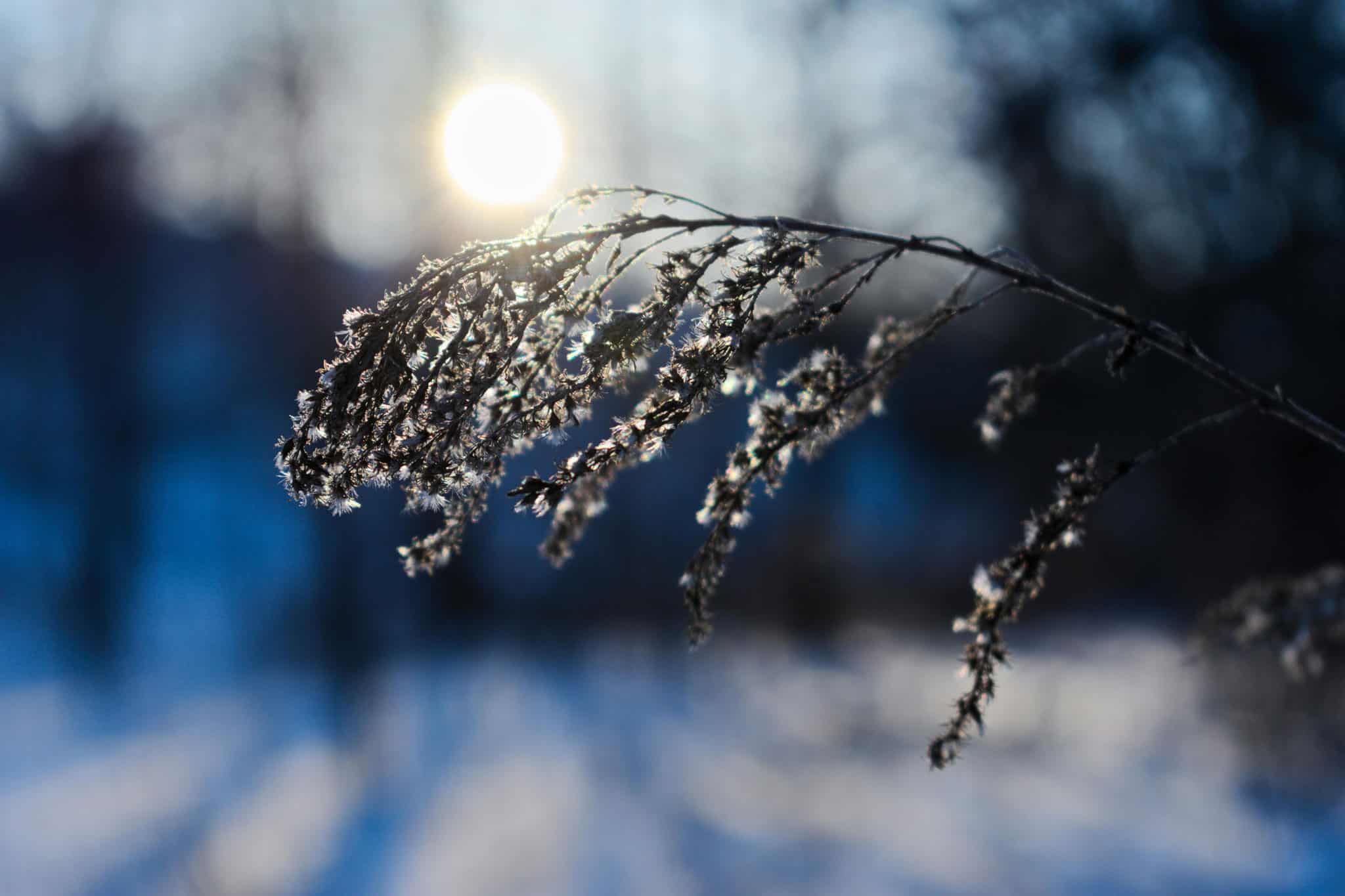 weekend weather southern ontario