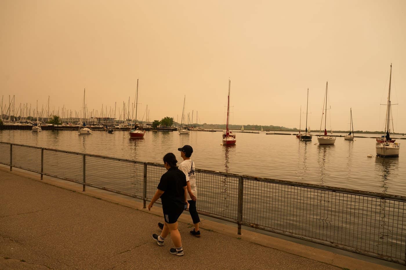 Wildfire smoke