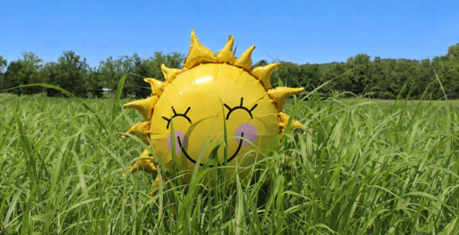 summer pleasant seasonal weather ontario